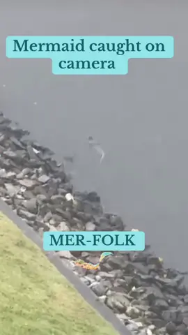 Mermaid caught on camera or Something else??? #merfolk#mermaid#mermaidcaughtoncamera #spiritualtiktok#cryptids