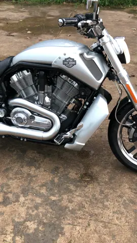 #harleydavidson #哈雷戴维森 