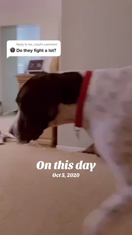 #onthisday 