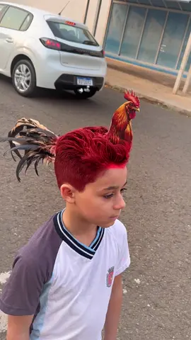 Ensinando o cabelo do GALO 🐓