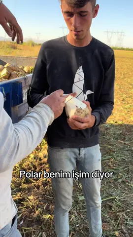 Ölçmek benim işim diyor ağam#pancar @ümit. efe 