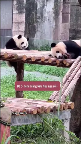 5 nổ lén lén trèo lên khung gỗ định đánh lén bà má nhưng bị Mãng Tử nốc ao ngay 😂