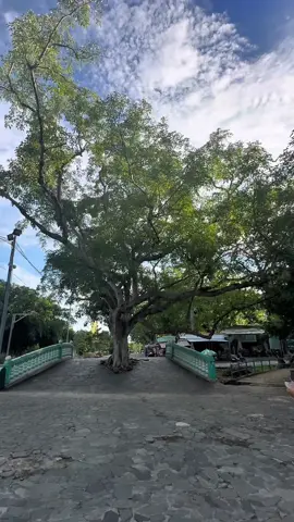 Chùa Bà Tây Ninh – Nơi tôi tìm thấy bình yên trong từng hơi thở  ChùaBàTâyNinh #HànhHương #TâmLinh #AnNhiên #BìnhYên #PhậtPháp  