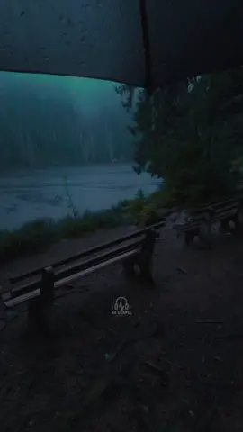 Você Vai Viver Pra Ver - Samuel Tayrone #louvoresevangelicos #hinosevangelicos #louvoresgospel #musicagospel #jesuscristo 