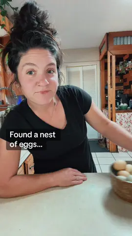 Egg walk of shame! 😂🤦🏻‍♀️#homestead #chickensoftiktok #homemade #eggs #chickens 