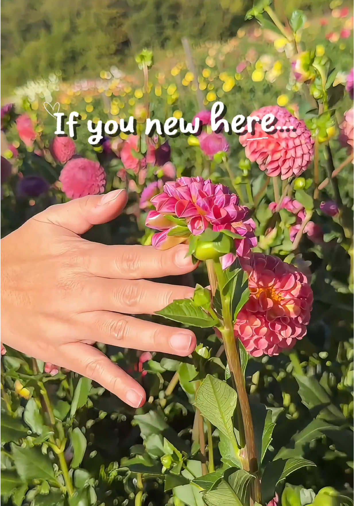 Mom life meets beauty moments ☕💖 Follow for gentle routines and real glow ✨#momsupportingmoms #MomsofTikTok #mombeauty 