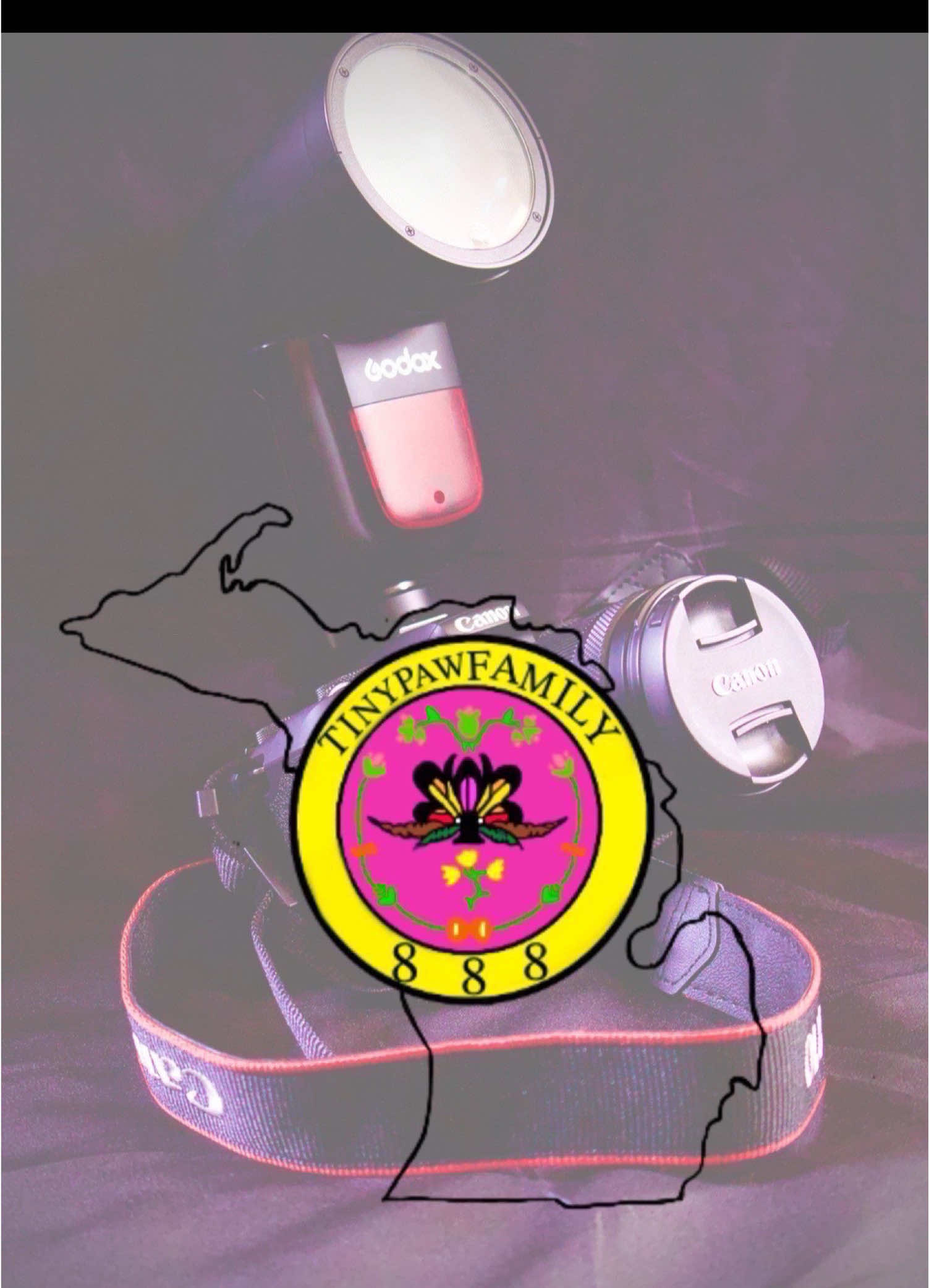 A New Chapter Started for Both of them 🐾♟️ Wish them the Best on there Modeling Journey Together  #catlover #parentsoftiktok #fyp #photographer #videography 