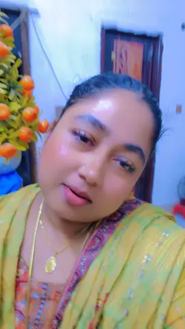তোমাকে ভুলতে পারিনা 