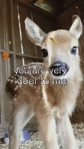 #ilysm 