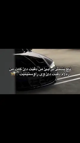 🖤🐆#fyp #foryou #viral #duhok_zaxo_amedi_semel_akre_hawler #kurdstan🇹🇯️ 