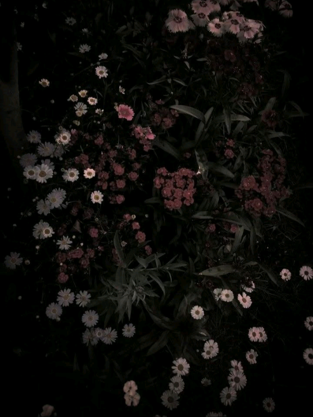 friends. #minsung #minho #jisung #skz #straykids 