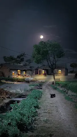 Có Một Nơi Giúp Tâm Hồn Bạn Thanh Lọc Chỉ Trong Vài Giây. Hãy Kể Tên Kỷ Niệm Đẹp Nhất Của Bạn Ở Nông Thôn! #tuoitho  #tuoithotoi  #tuoitho8x9x  #tuoithodudoi 