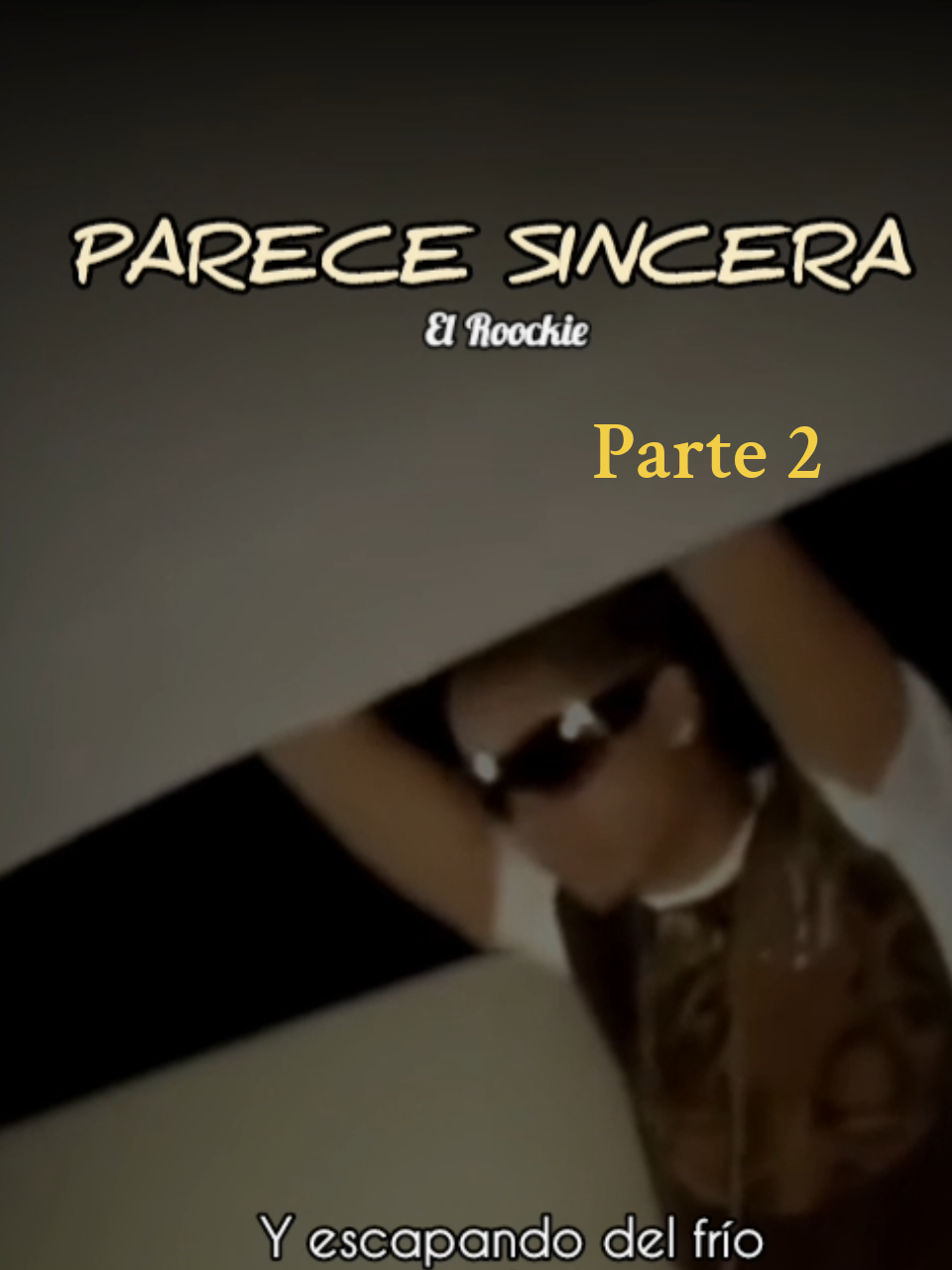 Parece Sincera - El Roockie  Parte 2 #paratii #plena507 #lyric 
