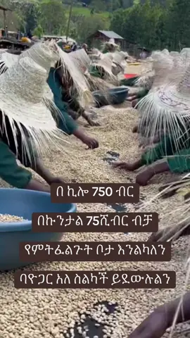 #ብና☕️💚💛❤ #oromotiktok❤️💚❤️ethiopiantiktok #ethiopian_tik_tok🇪🇹🇪🇹🇪🇹🇪🇹ሀገሬ #ቡናገበያ