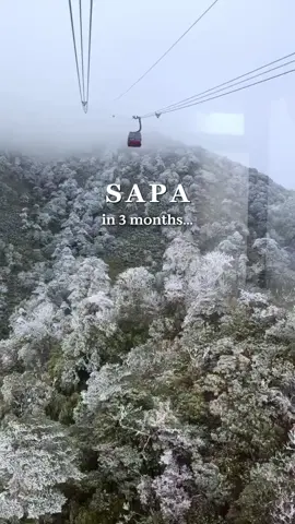 ✨ Who’s ready to conquer Sapa this winter? ❄️🤩 Winter in Sapa = misty mountains, cozy villages & that magical highland vibe. 🌿 Warm up with hot tea, enjoy local hotpot, and embrace the beauty of northern Vietnam. #sapawinter  #exploresapa  #vietnamtravel #wintervibes 