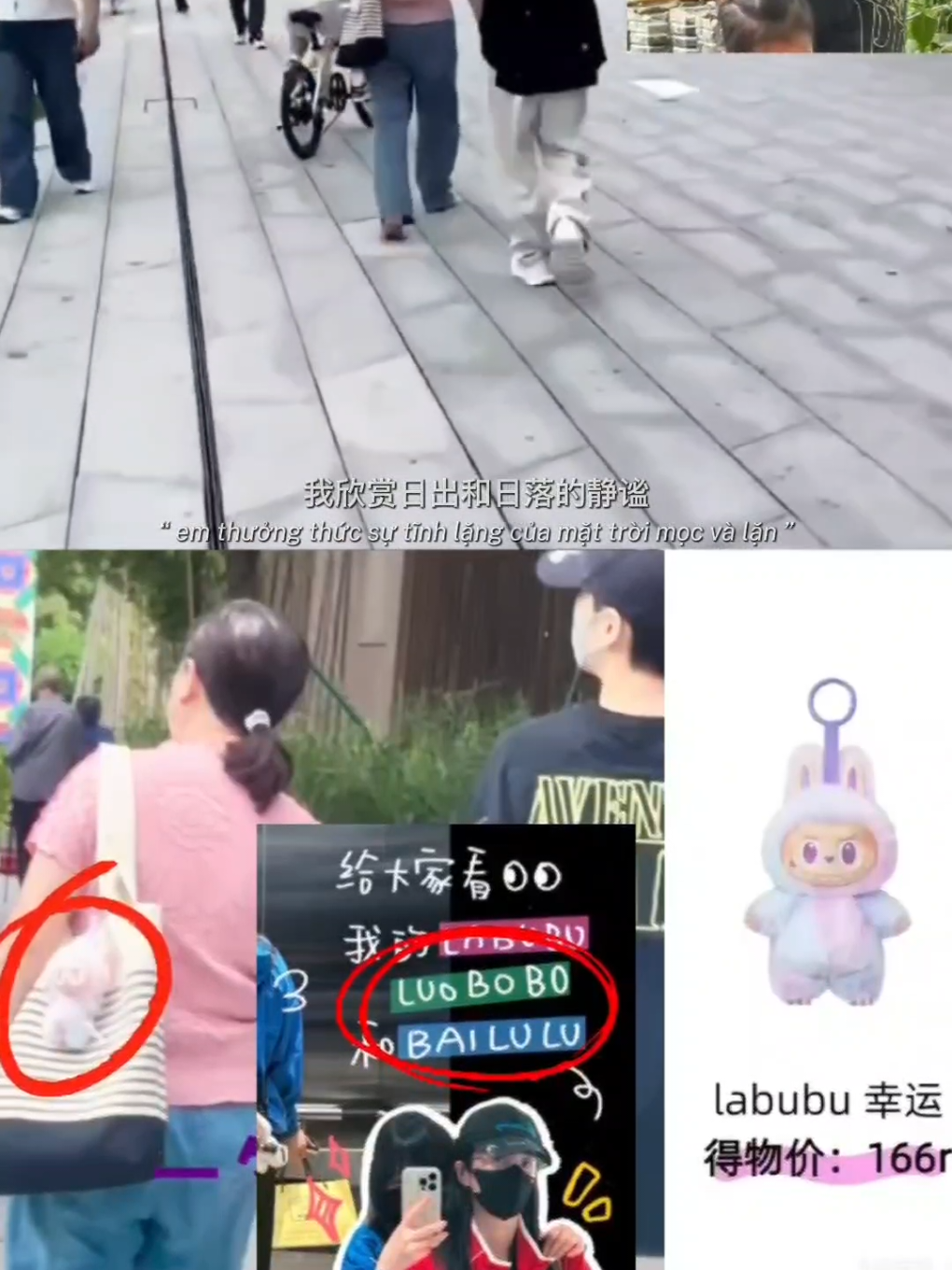 Labubu, Luobobo & Bailulu 🤭💙💜 #云鹿 #弋妍为定 #yunlu #白鹿 #罗云熙 