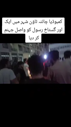تاجدار ختم نبوت زندہ باد 