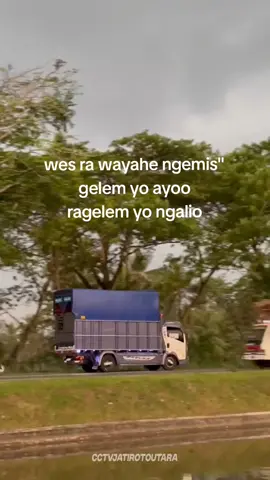 simple🤧 #driverindonesia🇮🇩 #trukstory #teamstutjemberlumajang #denhendrik #lumajanghits @denhendryy 