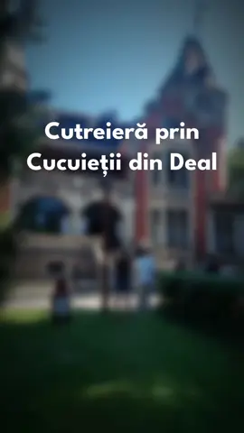 Ce îi face mândri pe locuitorii din Cucuieți? Faptul că oamenii țin pasul cu vremurile și au inițiat proiecte culturale și afaceri, pentru a nu rămâne pe loc.  Ghida muzeului Enescu din Tescani povestește cu mândrie cum locul s-a transformat. Studenții vin acum în tabere de vară, un pictor își expune lucrările în curtea casei, o familie de pe Domeniul Măgura gătește poale-n brâu după rețeta bunicii, iar o bătrânică ce îngrijește biserica cu tavan albastru din lemn vine cu capra Angelica în cimitirul unde are deja pictat propriul mormânt în culori vii. 🔗 Citește mai multe despre Cucuieți pe pressone.ro. ℹ️ Acest material face parte din proiectul „ING Credit Card cu Chef de Cutreierat”, un card ușor de accesat din Home’Bank și care se poate folosi oriunde, chiar și în Cucuieții din Deal. #pressoneromania #romania #cucuieti #IngCreditCard #VillageBreak 