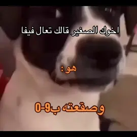 وبعدها يصيح عند امك ويشغلكم 😂 #ذبات #رياكشن 