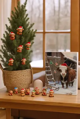 Highland Cow Christmas Advent #viral #dealsforyoudays #christmasadventcalender #highlandcow 