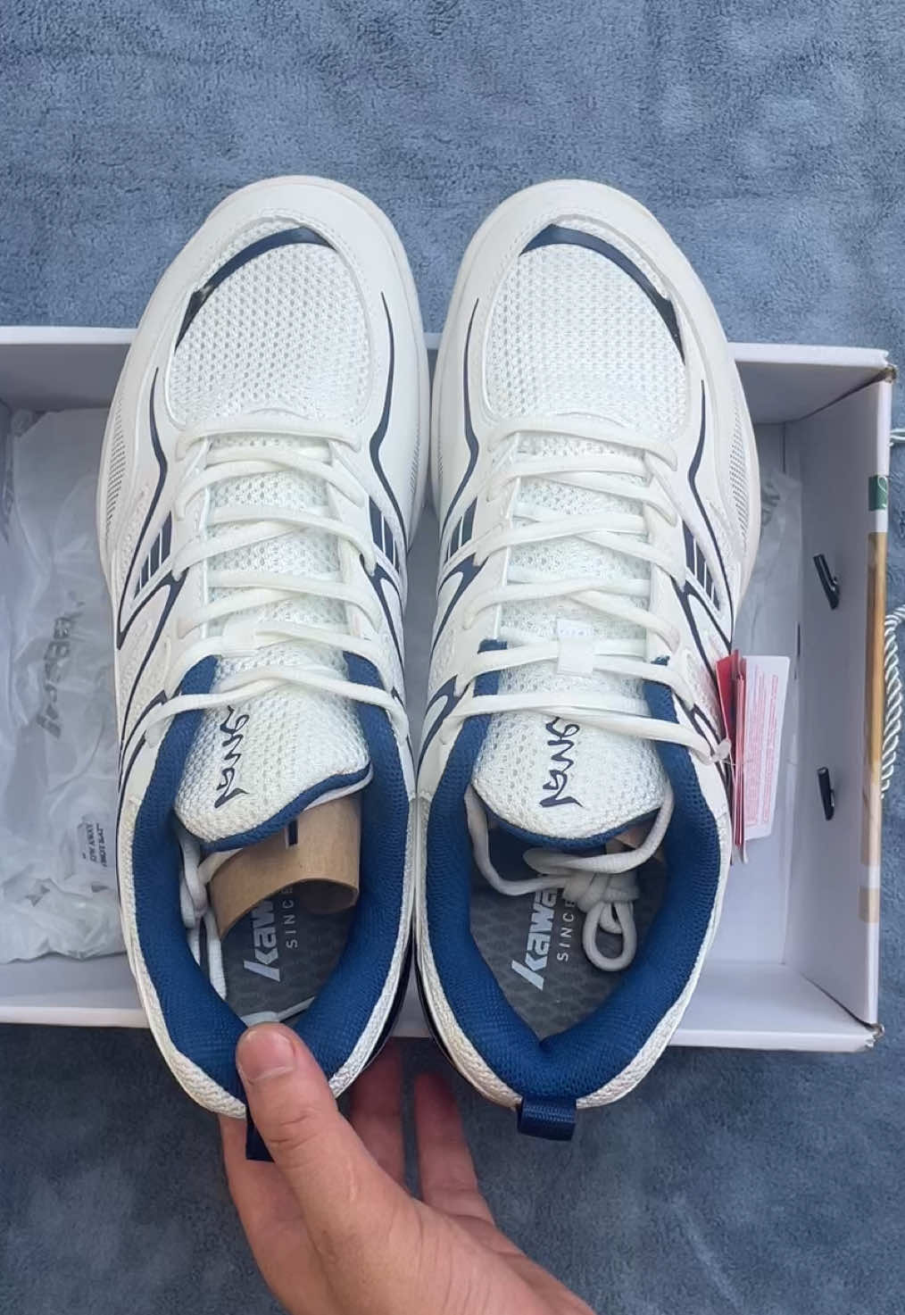 Giày Kawasaki Apasaras full công nghệ chơi pick,cầu lông... @Shop Cầu Lông 🏸  @Shop Cầu Lông 🏸  @Shop Cầu Lông 🏸  #kulbodz #giaycaulongchinhhang #giaykawasaki #kawasakiapasaras 