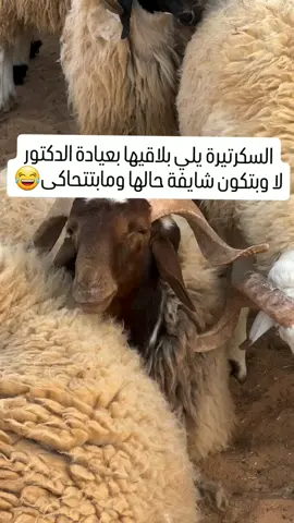 #حرفياً😭😂👍🏻 #للمزح_فقط_خلي_روحك_رياضيه🌚😂🙈👌🏼 #متابعه_ولايك_واكسبلور_احبكم #شعب_الصيني_ماله_حل😂😂 #✨ 