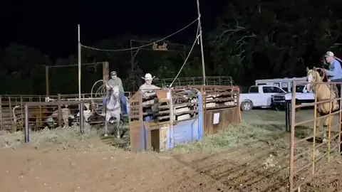 My son moved back from Oklahoma so it was time to go to the practice pen. Ol Cody and Diamond worked great.