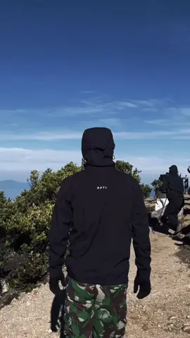 biar kaya orang orang #gunuggedepangrango2958mdpl #pendakigunung #ninjagunung🥷🏻 #fyp #4u 