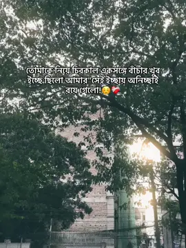 #tiktok #foryou #idfreezed ☺️💔