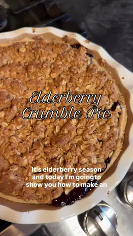 I was surprised by this one! I am not a huge fan of elderberry pie but by making a few slight changes to a traditional recipe, I think we’ve got a winner🙌 Elderberry Crumble Pie👇🏼 1 unbaked pie crust 4 cups elderberries 1 1/2 cups sugar 4 tbsp cornstarch 2 tbsp fresh lemon juice Crumble topping: 3/4 cup oats 3/4 cup flour 1/2 cup brown sugar 1/4 tsp baking soda 1/2 cup softened butter Prepare a pie crust and place in a pie tin. Set aside. Blend all of the elderberries in a blender to get them as fine as possible. Place in a medium pan and add in the sugar. Stir over medium heat until the sugar dissolves. In a small bowl, dissolve the corn starch in just enough water to make it smooth. Stir this into the berries until it thickens. Remove from heat and stir in the lemon juice. Pour into the prepared crust. Make the crumble topping by combining all the crumble ingredients with your hands. Add this to the top of your pie. Bake the pie at 350°F for one hour or until the filling is set and the top is slightly toasted. Let cool completely before serving. Make sure to follow for more recipes and tag if you try this🥰 #homesteadkitchen #cookingfromscratch #elderberrypie #elderberryrecipe #elderberrybenefits #homemaderecipe