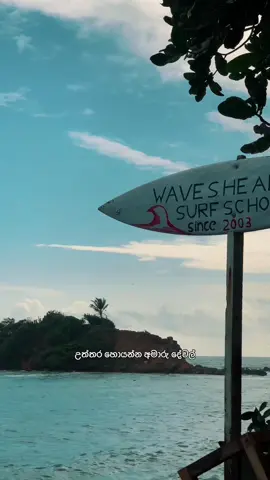 මේ මොහොතෙ ජීවත් වෙන්න!  Everyday filmmaking | Day 22 #mrkevi_n #filmmaking #quotes #fyp #STEMTok 