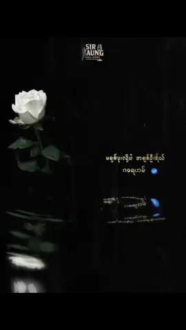 မချစ်ဖူးလို့အါ အချစ်ဦးရယ် // ဂရေဟမ် #sirkaung  #1000millionlikes  #lyricsvideo  #fyp  #trend 
