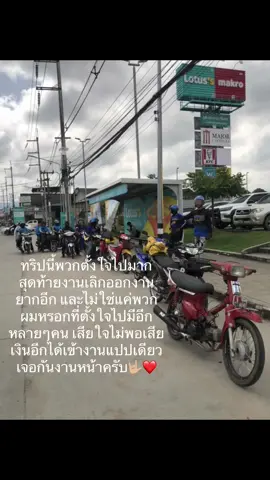 งานนี้สนุกคับถ้างานไม่เลิกก่อน#ดาราจ๋อมต๋อง💙 #ดาราดอยเต่า🐢🤍 #เมืองแกนแม่แตงเชียงใหม่ #เชียงใหม่ #ฟีดดดシ 