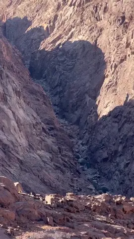 #سجه_نشاما #اكسبلور #ماشاءالله 