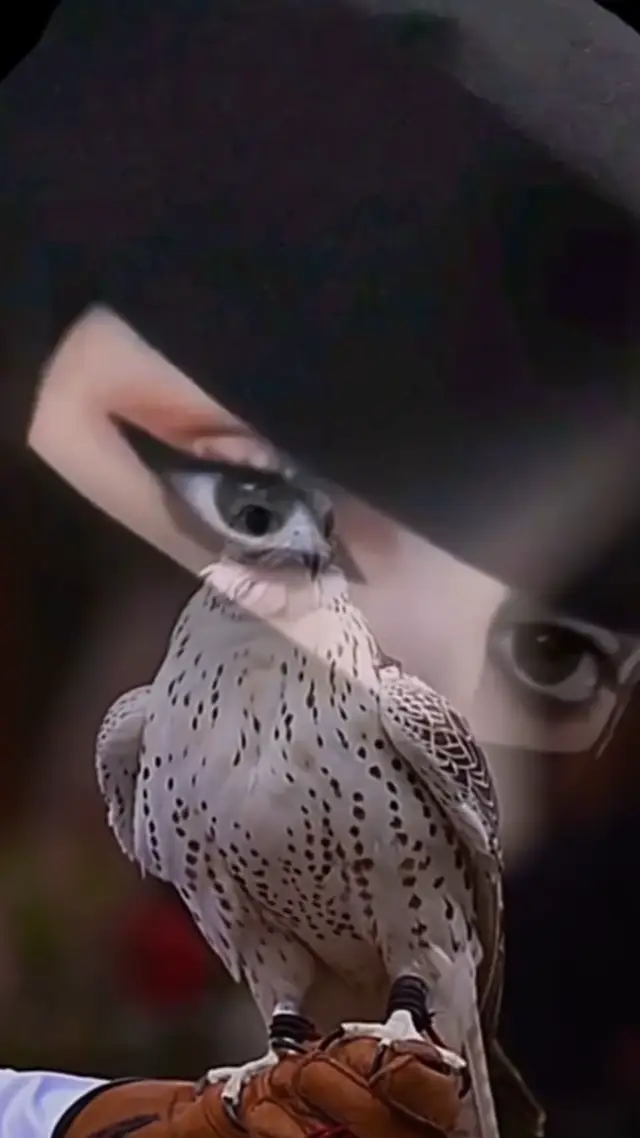 #يسعدلي__اوقاتڪۘم_حبايبي♥️🕊 #مسساااءّৡਃੁالخــٓــٓــٓــــہيرّ #اكسبلورexplore #مجرد________ذووووووق🎶🎵💞 #💕💕💕 