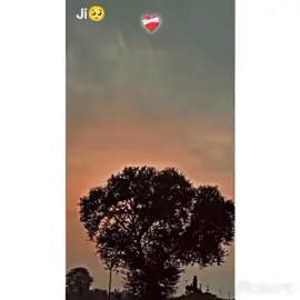 #froyou #froyou_tiktok_💔🥀 #viralvideo #ukaccountper 