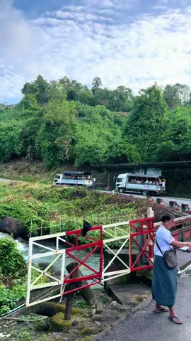 #ကျိုက်ထီးရိုး #ကျိုက်ထီးရိုးဘုရား #myanmartiktok🇲🇲 #views #fyp 