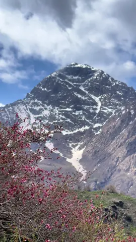 #foryou #fyp ##foryoupage #قەندیلی❤️سەربەرز #kurdistan 