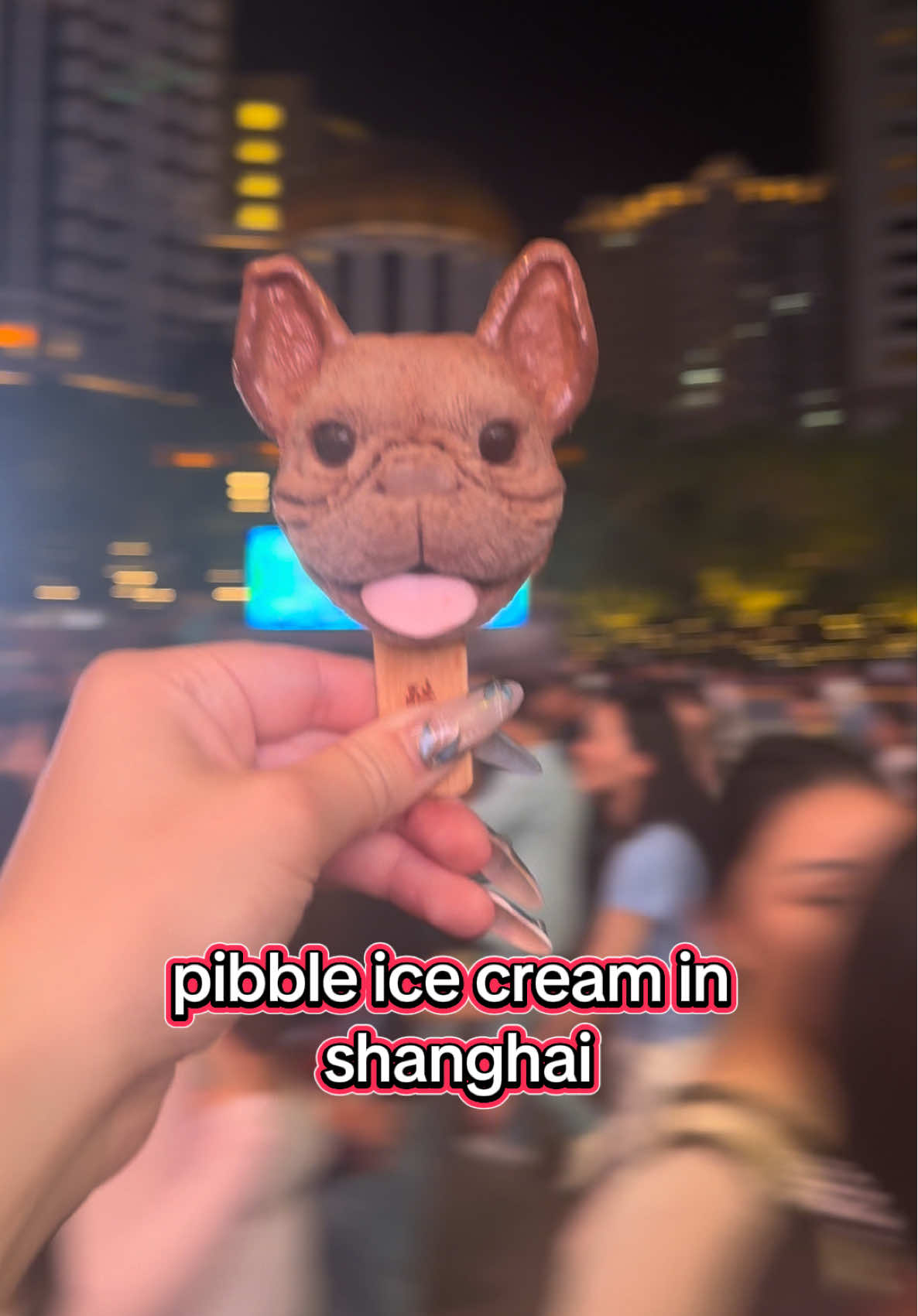 #pibble #shanghai 