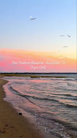 We think that the Fall is on of the best times of the year to visit Cape Cod!  We spent 2 days in the Coziest cottage @samosetcottage_onthecape From towns that look like they are out of a Hallmark Movie, to gorgeous beaches, bike paths, and the most beautiful pond on the cape.... Samoset Cottage is close it all, yet quiet and private!  Save and Share:  • Location: Eastham Cape Cod, Massachusetts  • Bring your friends.... Samoset Cottage sleeps 8! • They provide kayaks and bikes! There is a pond across the street, and Great Pond is a short walk away..... the Iconic Cape Cod Rail Trail is close by as well.  • Spend the afternoons grilling, enjoying the views and playing games! There is a large fire-pit for evening smores, cozy patio, Adirondack chairs, and a picknick table.  Who would you bring with you to @samosetcottage_onthecape Book on Airbnb here:  https://www.airbnb.com/rooms/1136129566525626966?source_impression_id=p3_1758565140_P37UOogtdGzWx7W8&fbclid=PAT01DUANPXEFleHRuA2FlbQIxMAABp_QV2uBpzii0cli7cqosyPOHE5brXRYB3M9dDi4yAFs3T7PwqdWaeH5XS6R6_aem_V3IDY_gV5T9dnuIaPSZ3Zg Or Book Direct and save here:  https://www.weneedavacation.com/Cape-Cod/Eastham-Vacation-Rental-39191/?fbclid=PAT01DUANPXFZleHRuA2FlbQIxMAABp9QASMbvKEmHAc2s4iK3l9iEd0QszfzLOgq5zLBfUPpp7lQkQGVyed3Nz7yI_aem_M0767CDMunW1DMBd4WzY3A #capecod #fallvibes  #northeast #autumn #fallvibes