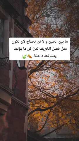 #اقتباسات #كلام_من_القلب #ستوريات #خواطر #اقتباسات_عبارات_خواطر