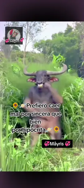 💞👑Gracias por el apoyo espero les guste el contenido👑💞