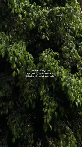 #bismillahfyp #fyppppppppppppppppppppppp #fyp 