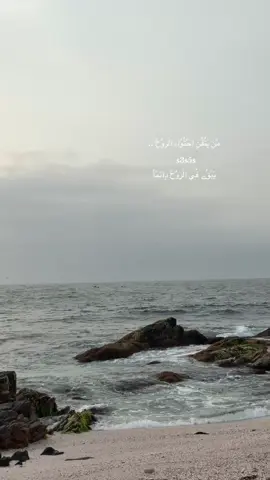 🕊️#مرباط_عُمان #موسيقى #اكسبلور #viral #mirbat 
