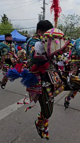 ❤️📸 #folkloreboliviano  #tinkusbolivia🇧🇴👍  #bolivianosenargentina🇧🇴🇦🇷 