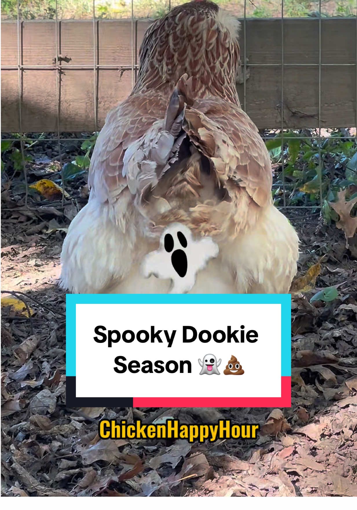 It’s #spookydookie season 👻💩 #spookyseason #october #joke #chickenhappyhour