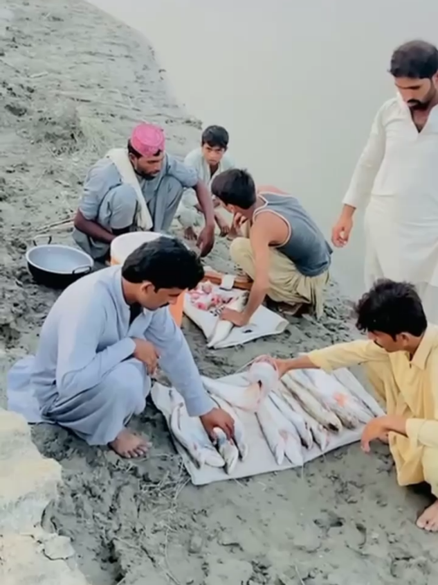 Enjoy Fish Hunting At River With Friends #100k #unfreezemyacount #enjoy #friends #river @Gabbar Pet House 