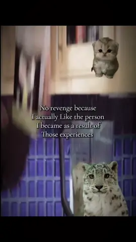 Kitty lovers rise up  #richpiana #carbmaxx #hopecore #cats 