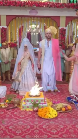 Live chaque soir#trouverlamour #zeetv #zeemagic #zeemagic♡ 